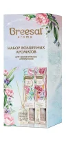 Ароматический диффузор Breesal AromaSph Свеж чув+Волн страсть 40+40мл