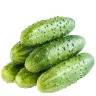 Огурцы грунтовые 1 кг., пакет