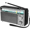 Радиоприемник Ritmix RPR-131, черный