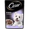 Cesar Влажный корм для собак ягненок в сырном соусе 85г