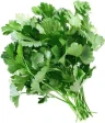 Кинза 1 кг., картон