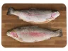 Форель ПСГ 1,5+ (12-15кг) Экор