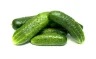 Огурцы короткоплодные Россия 25 кг., картон