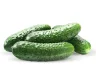 Огурцы грунт 10 кг., картон