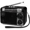 Радиоприемник Ritmix RPR-161, черный