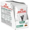Влажный корм Royal Canin Диабетик ДС 46 для кошек 85 гр., пауч