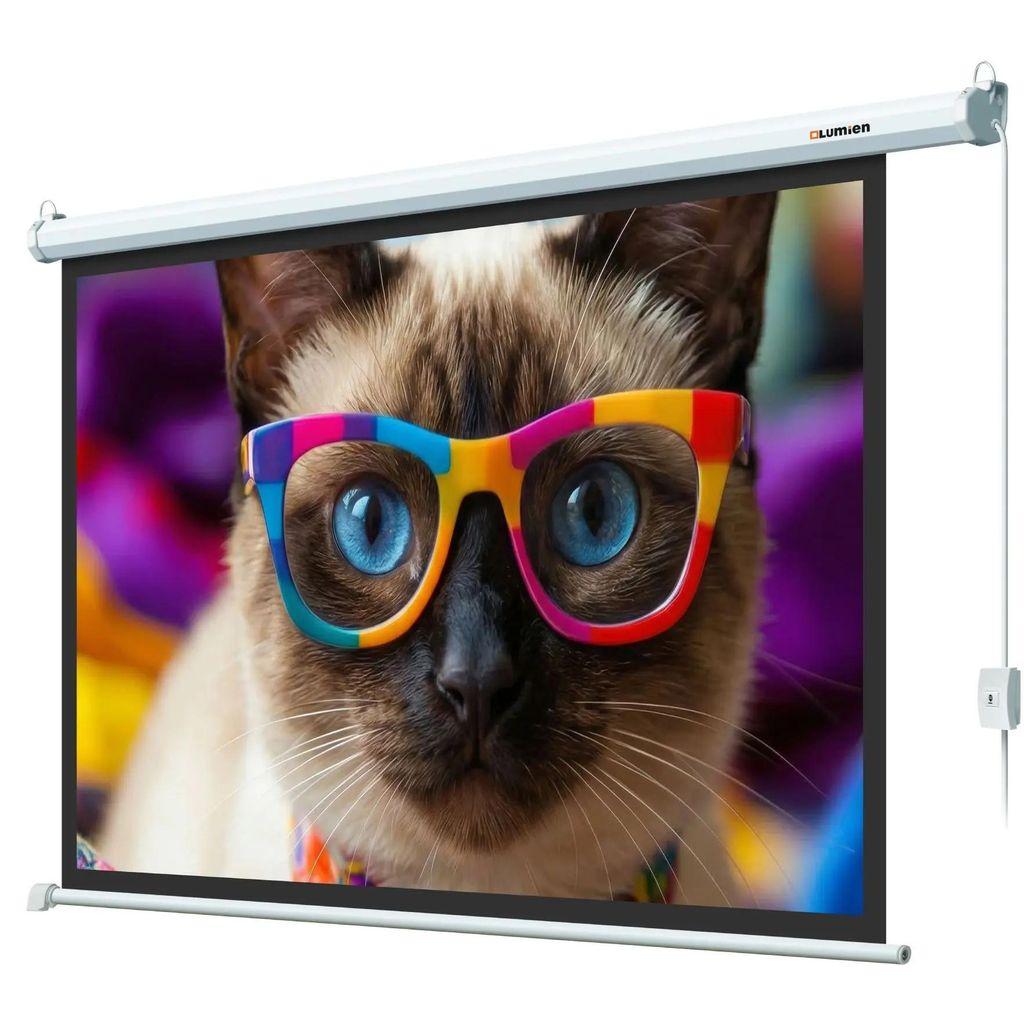 Экран Lumien Eco Control LEC-100118, 192х137 см, 16:9, настенно-потолочный белый