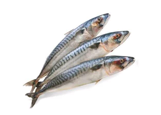 Скумбрия Фарерские Острова 7 кг., вакуум