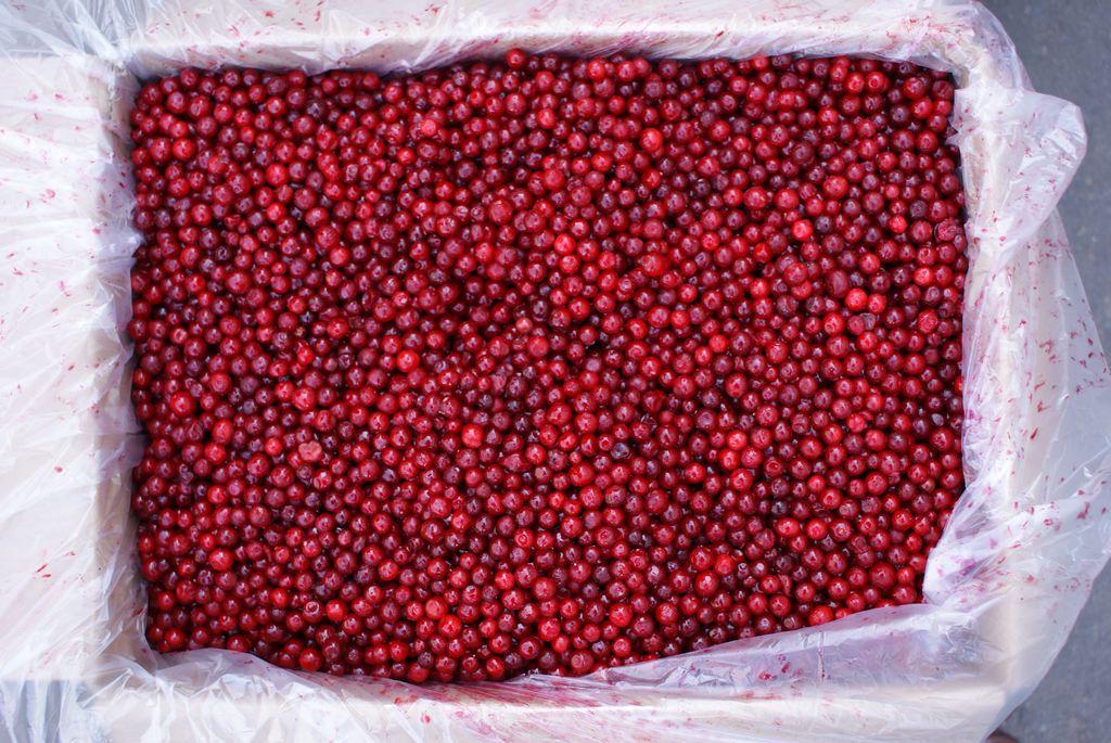Брусника весовая свежемороженая