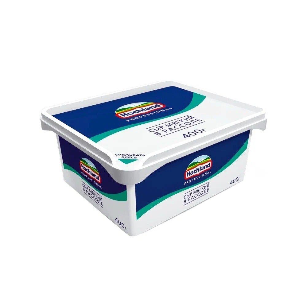 Сыр Мягкий Hochland Professional в Рассоле 45% 480 гр., ПЭТ