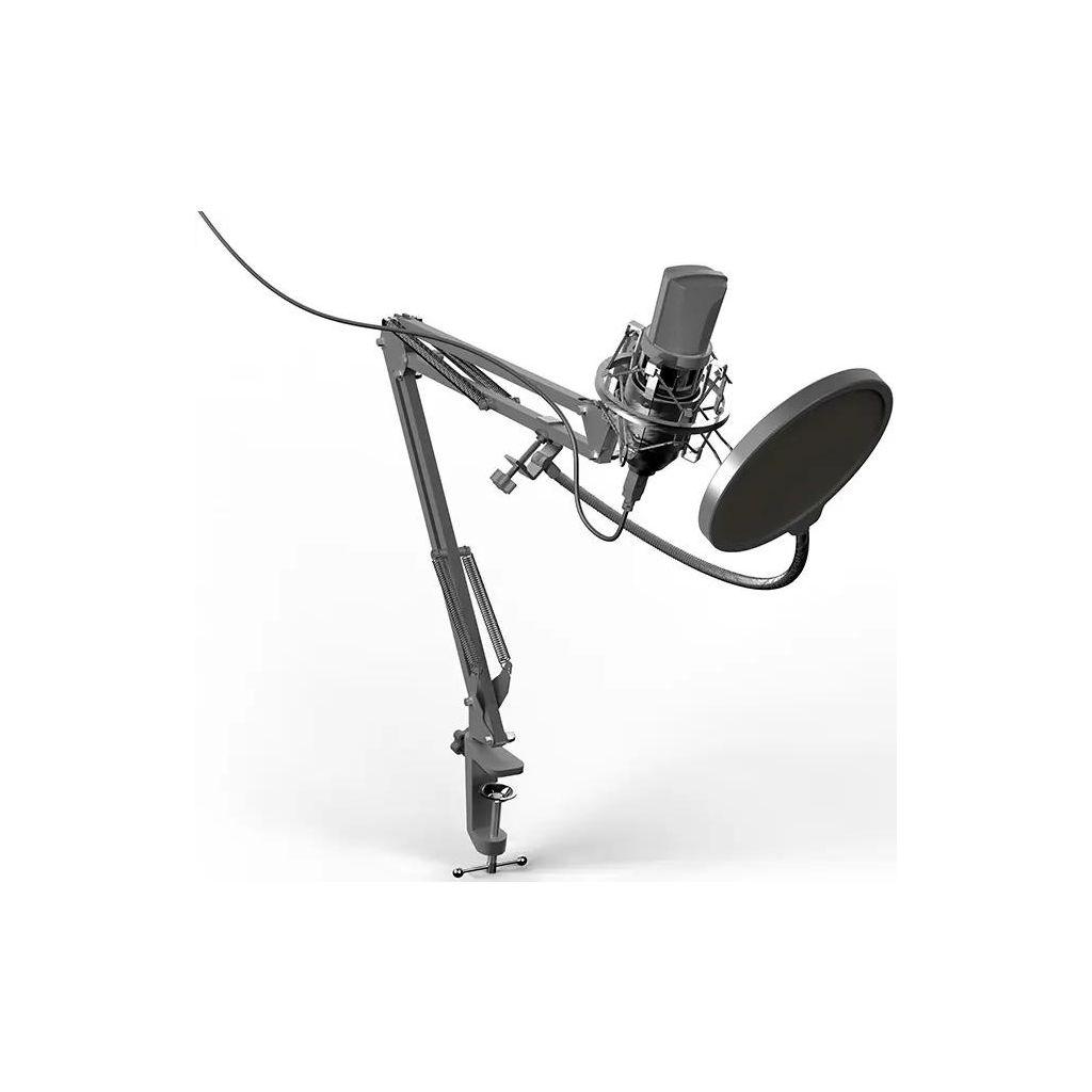 Микрофон Ritmix RDM-169, черный [80000749]