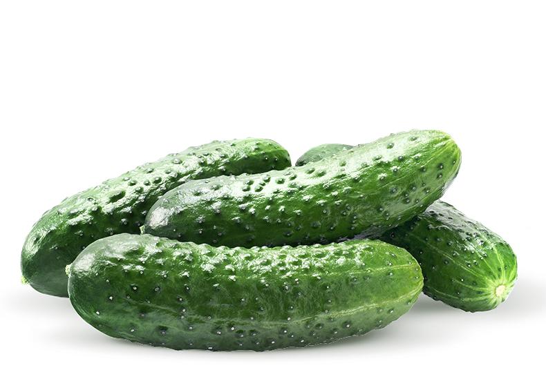 Огурцы грунт 10 кг., картон