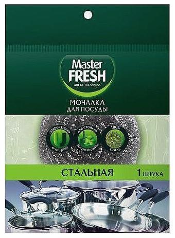 Мочалка Master Fresh для мытья посуды стальная 1 шт., флоу-пак