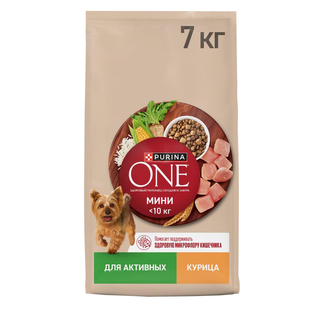 Корм Purina ONE mini сухой для собак мелких и карликовых пород при активном образе жизни, с курицей и рисом, 7 кг., пакет