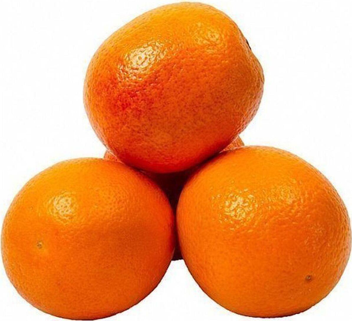 Апельсины Фрут Сервис 20 кг., картон