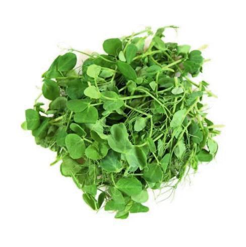 Кресс-горох Micro Leaves 40 гр., картон