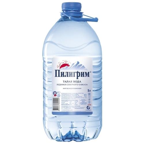Вода питьевая негазированная детская Пилигрим, 5 л., ПЭТ