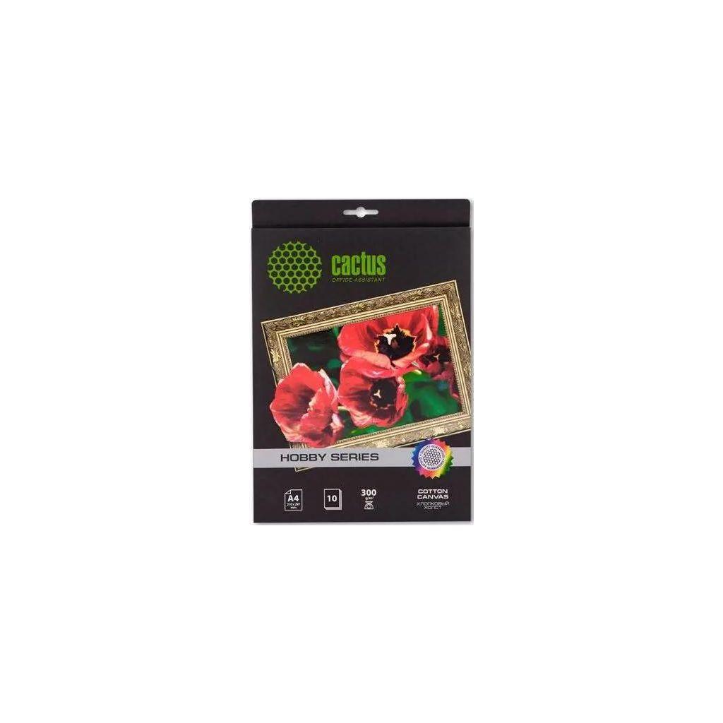 Холст Cactus CS-CA426010 A4/300г/м2/10л. для струйной печати