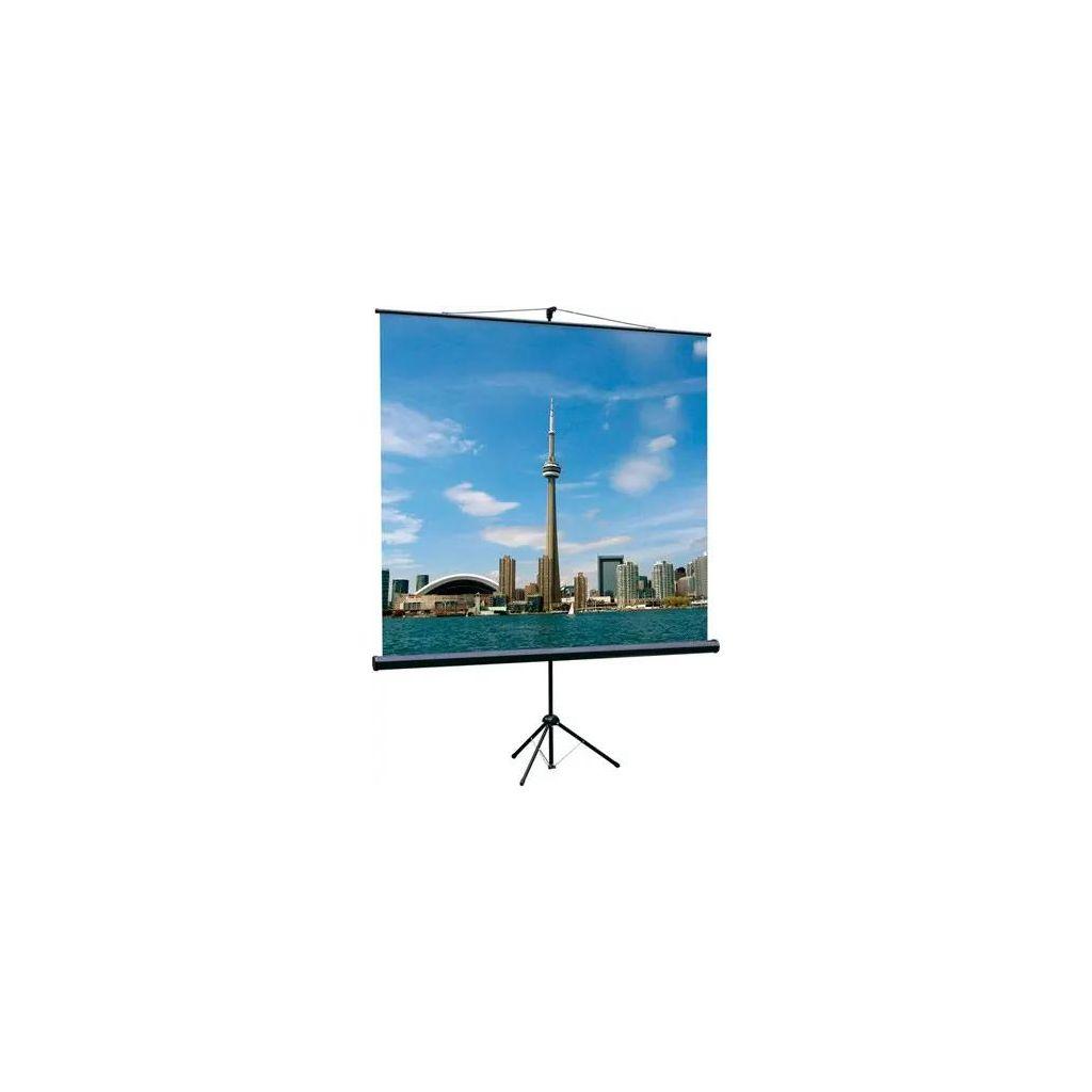 Экран Lumien Eco View LEV-100103, 200х200 см, 1:1, напольный