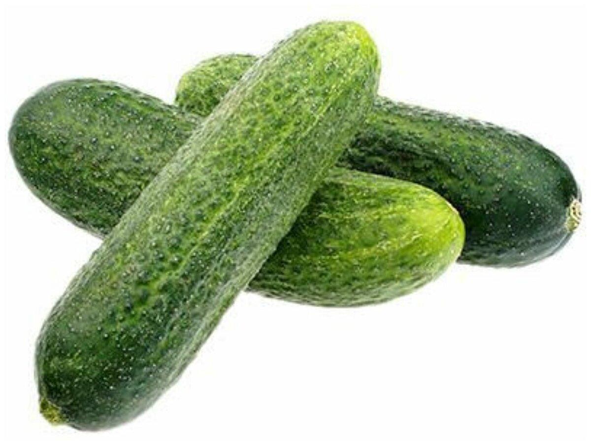 Огурцы луховицкие, 1 кг., картон