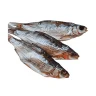 Вобла вяленая 1 кг., пакет