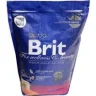 Корм для взрослых кошек сухой Brit с лососем 800 гр., дой-пак